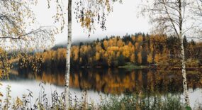 Höstinspiration för resglada själar